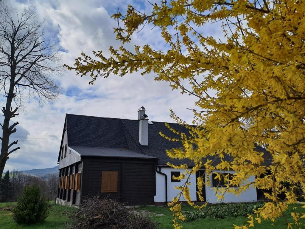 Chalupa Lichtenberg/ Svetlik Horni Podluzi Exterior photo